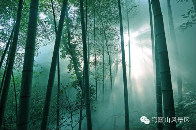 穹窿山国家森林公园接待游客,穹窿山景区旅游感受