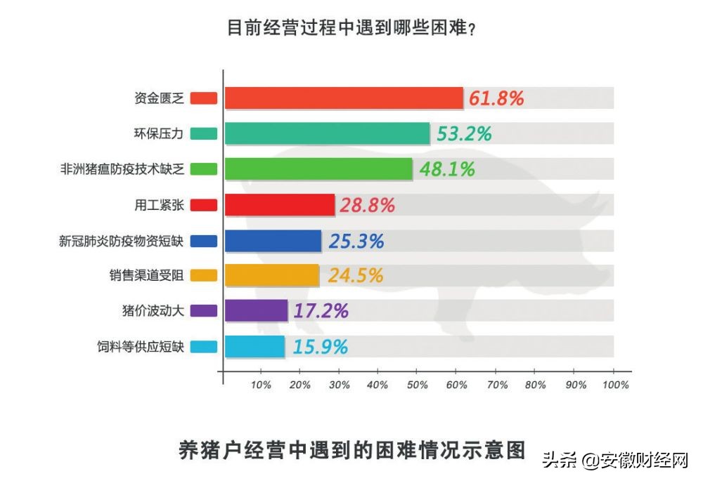 贩运生猪怎么能赚钱呢,在屠宰场批发生猪好赚钱吗