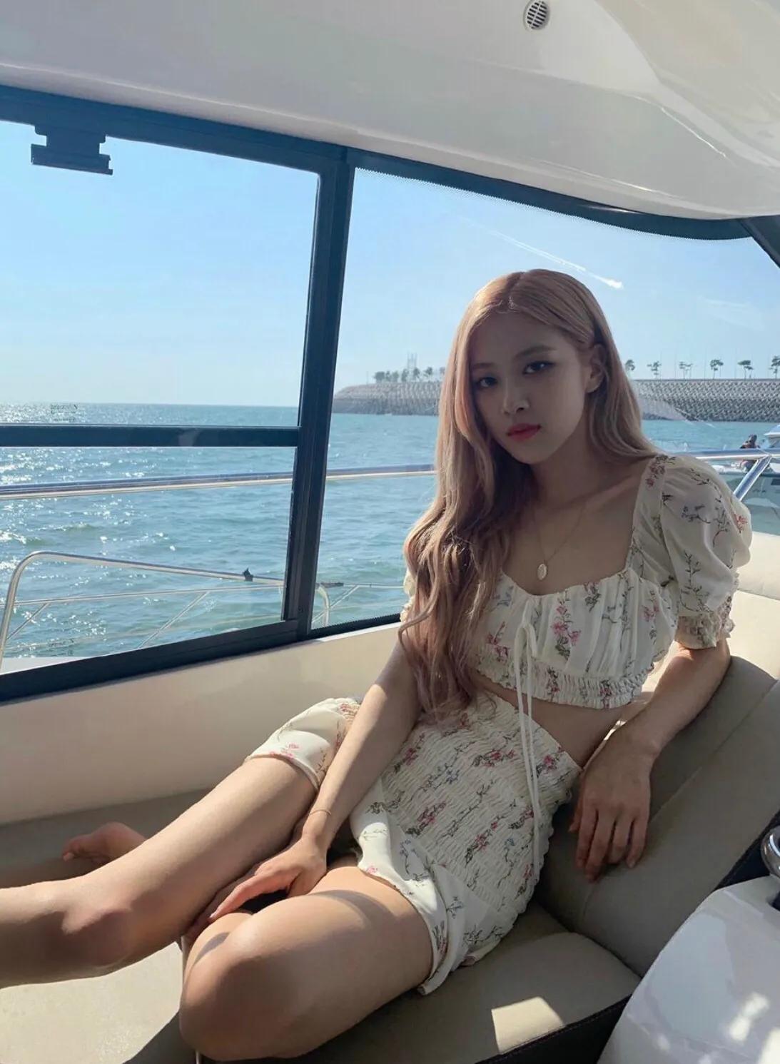 澳洲野玫瑰怎么来的,澳洲野玫瑰蓝玫瑰