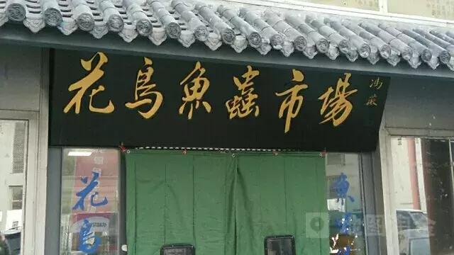 即将消失的花鸟鱼虫市场,天津消失的鱼虫市场