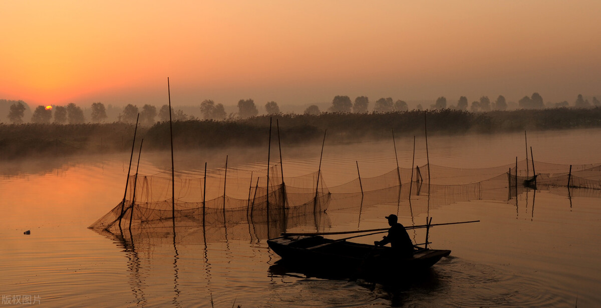 济宁在山东经济排名2024,济宁的经济第一大县