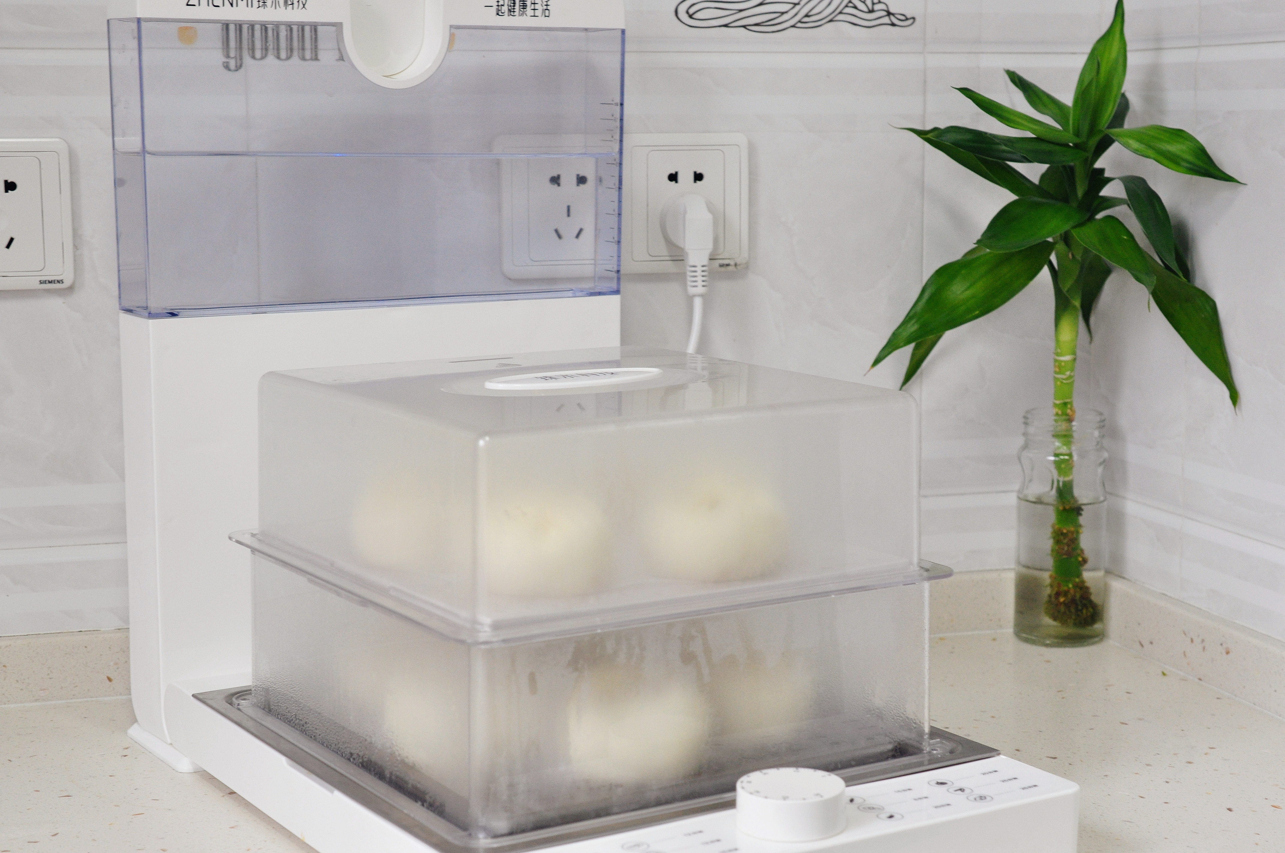 菠菜大包子,吃十个都不怕胖,薄皮大馅,鲜美不腻的秘诀