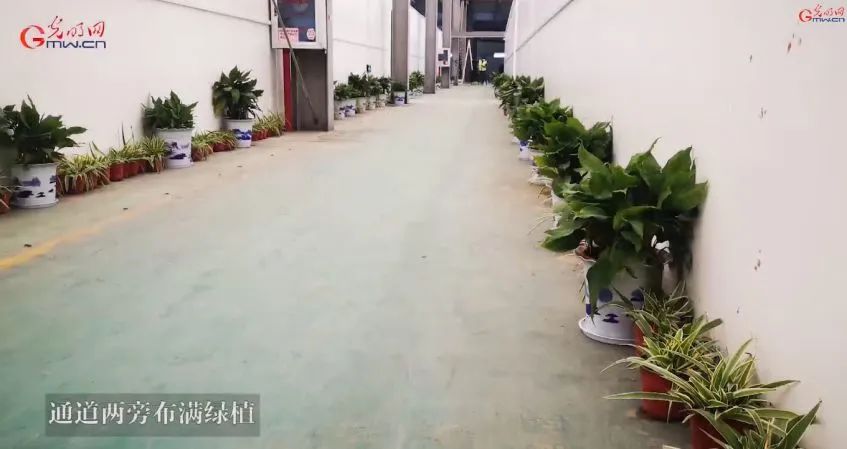 新冠病毒肺炎医疗费,新冠肺炎的天价医疗费