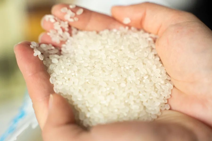 被薇娅直播间榨干零食预算后,写出了这篇测评报告(上)