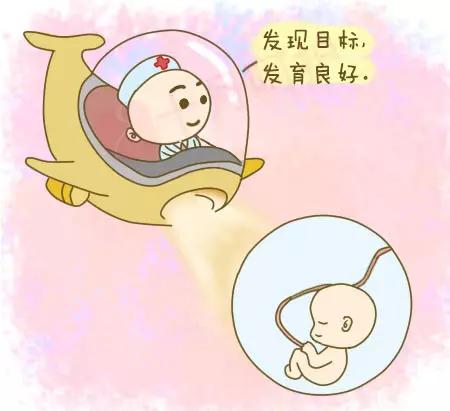 2022年超全产检一览表注意事项,第一次产检攻略