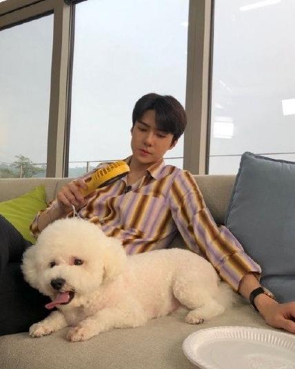 大势爱豆韩国综艺节目,养猪吴世勋