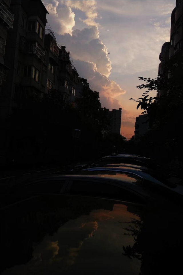 2019犯凶星的属相,2019年犯凶星的属相