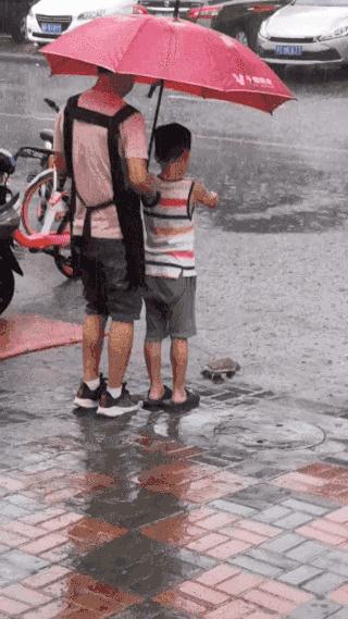 黄鼠狼在超市偷东西,黄鼠狼超市偷火腿肠