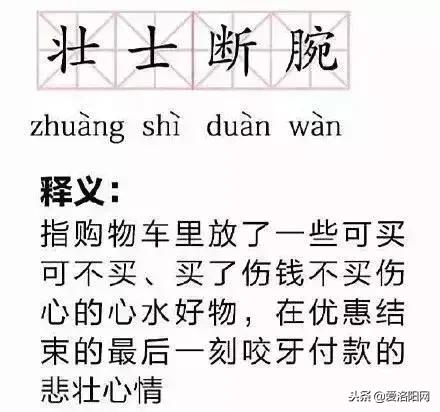 双十一账单图,双十一账单查询2020