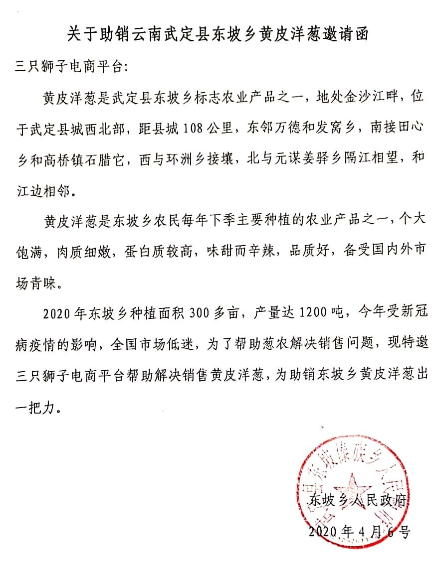 黄皮洋葱批发,黄皮洋葱今日报价