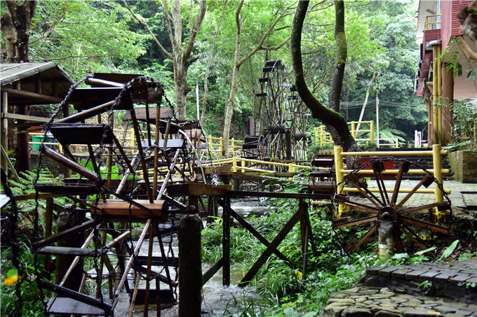 肇庆市粉黛乱子草,肇庆德庆盘龙峡薰衣草