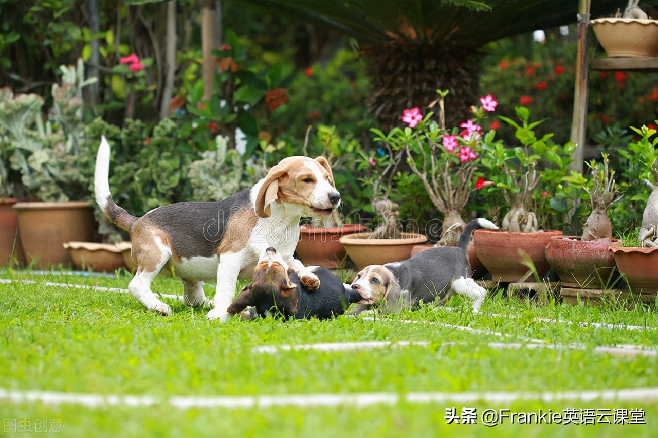 中考英语阅读100篇,中考英语d篇文章