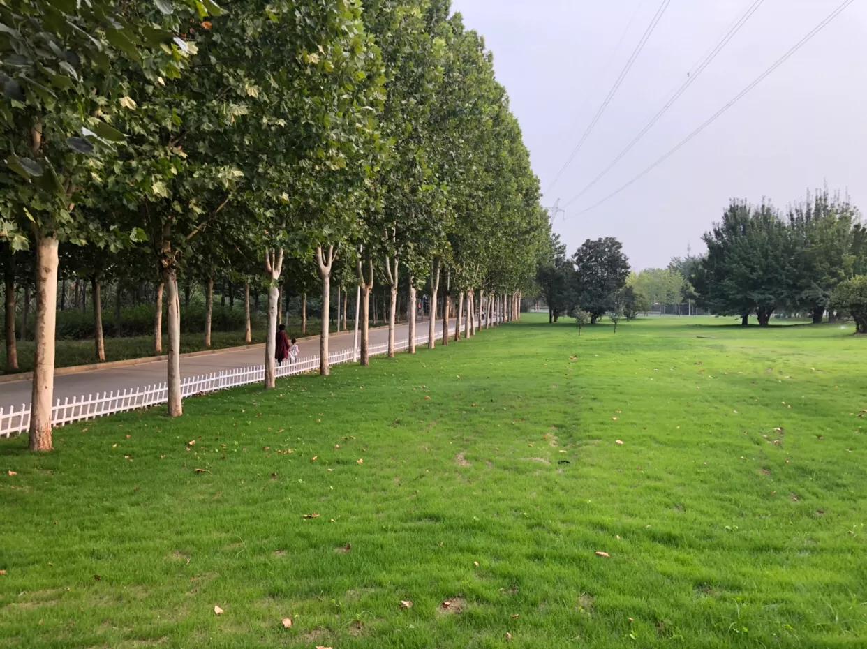 郑州免费公园树木园,郑州树木园开放