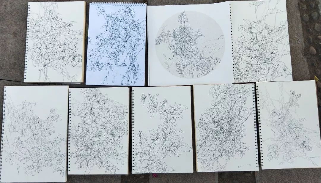 袁金奎老师国画作品欣赏,袁金奎写意花鸟画作品