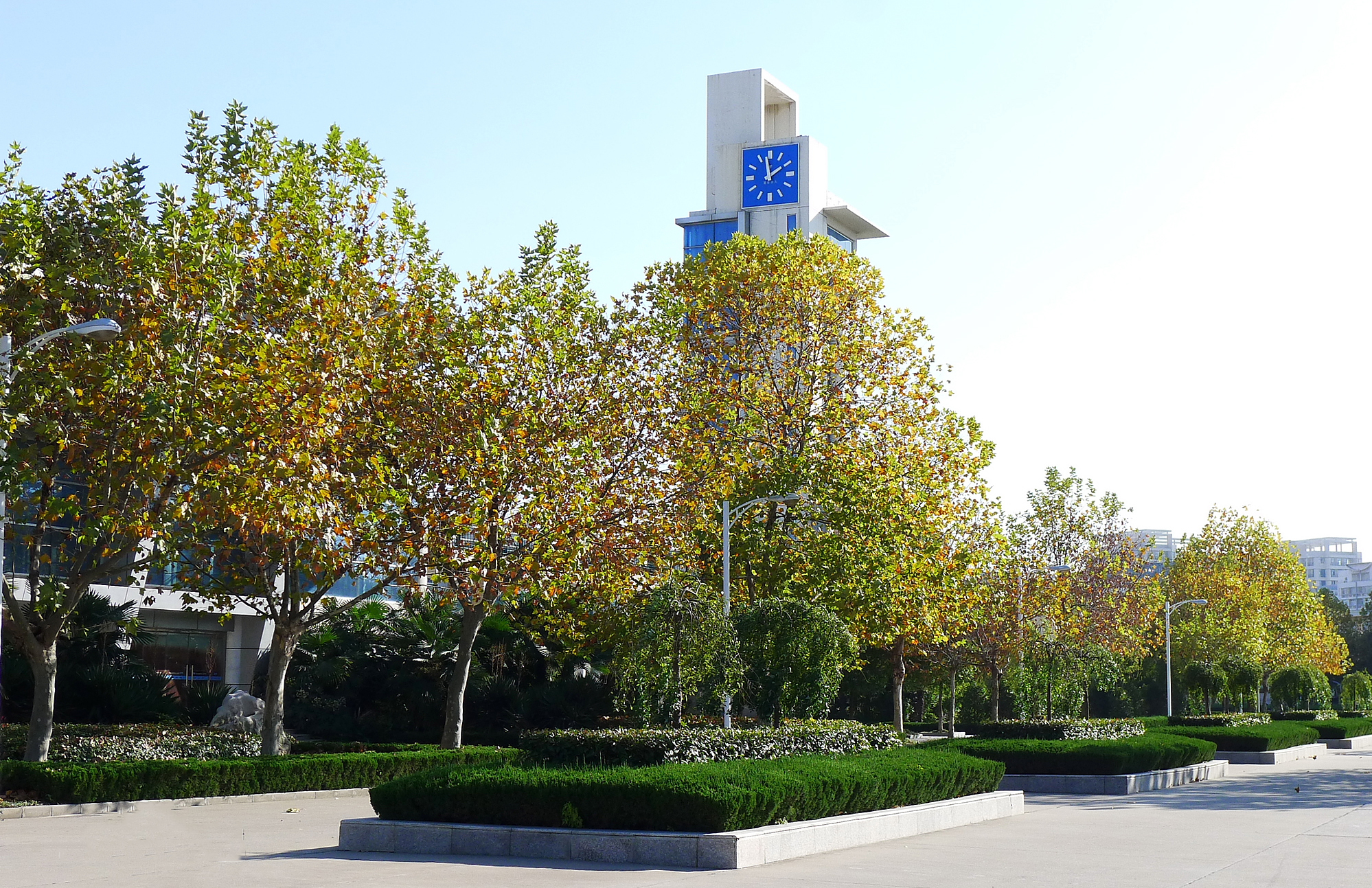 江苏省盐城市高中升学率多少,江苏盐城一本率80的学校