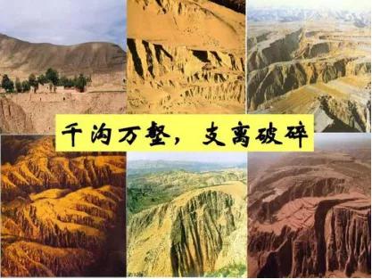 常用的大量元素水溶肥料,偏微酸性的土壤肥料