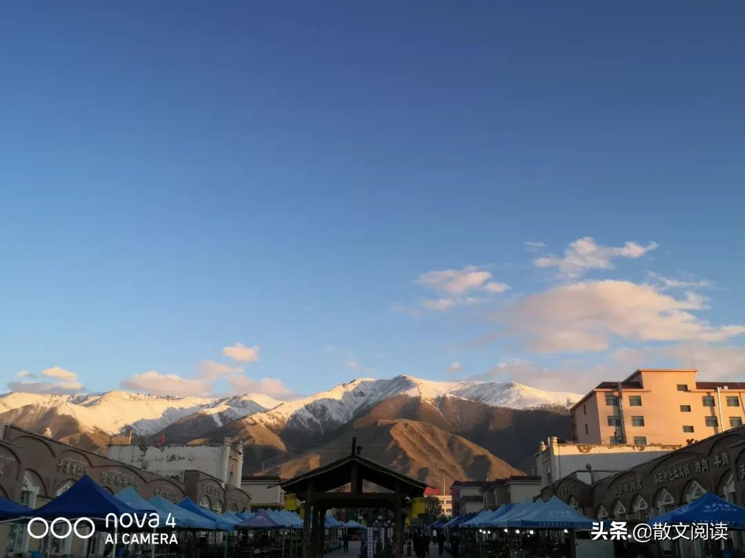 用手机看散文,散文手机