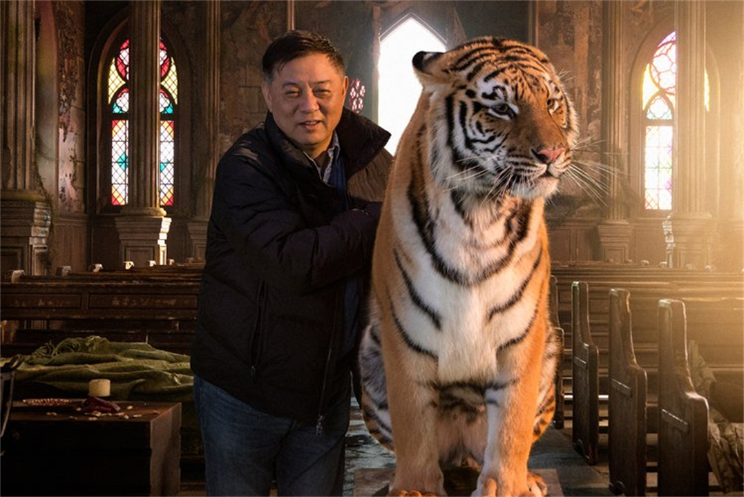 任何猫后颈被抓住猫都无法动弹吗,抓猫的后颈为什么猫不反抗