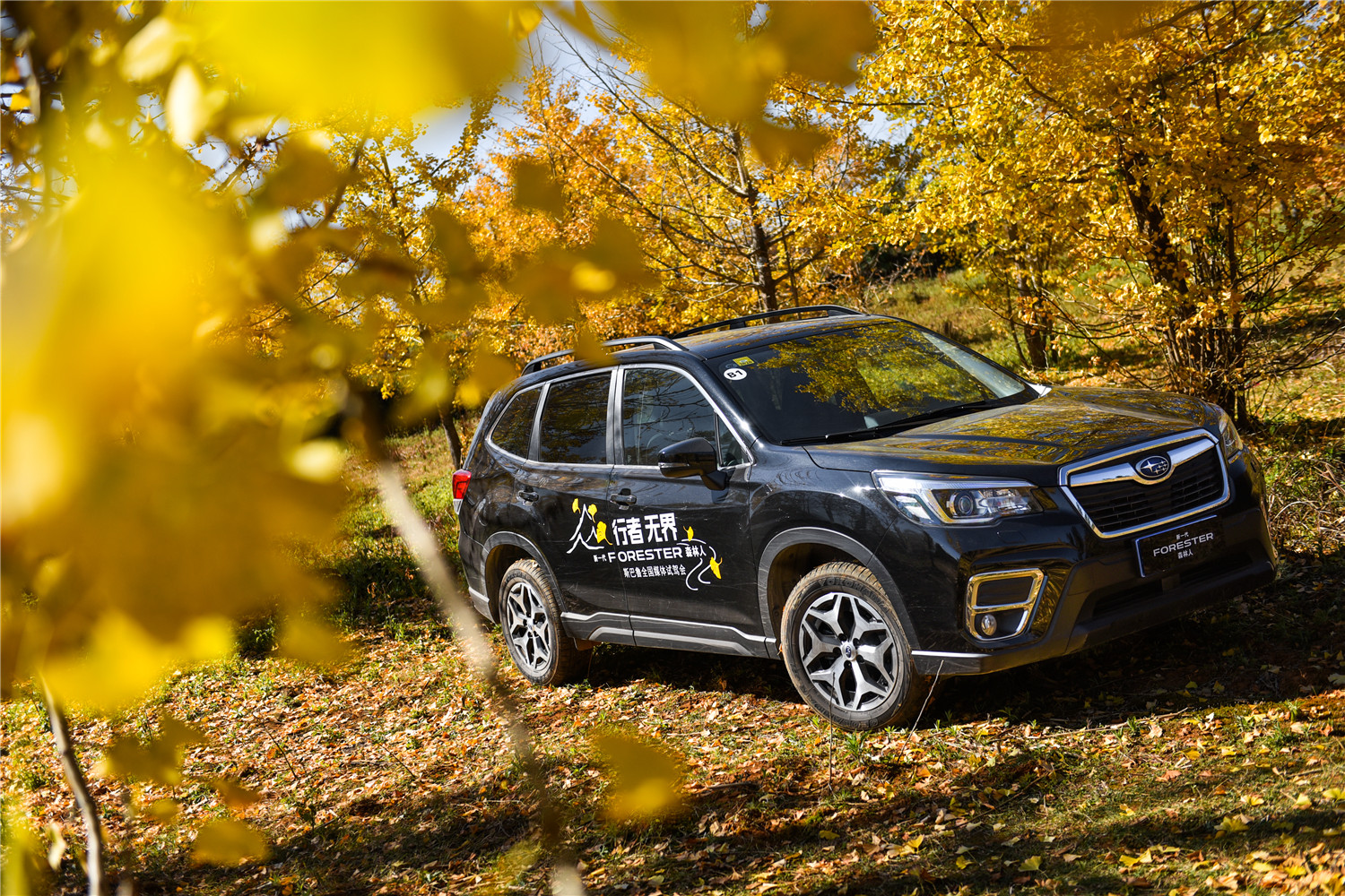 2.0自吸cvt的车能买吗,2.0cvt森林人