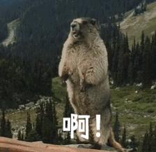 儿子把502胶水当成眼药水怎么去掉,8岁男娃误将502胶水抹到眼上