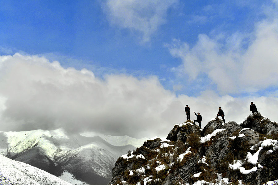 鐢樺瓬钘忓尯铏崏,鐢樺瓬搴峰畾铏崏鍗＋