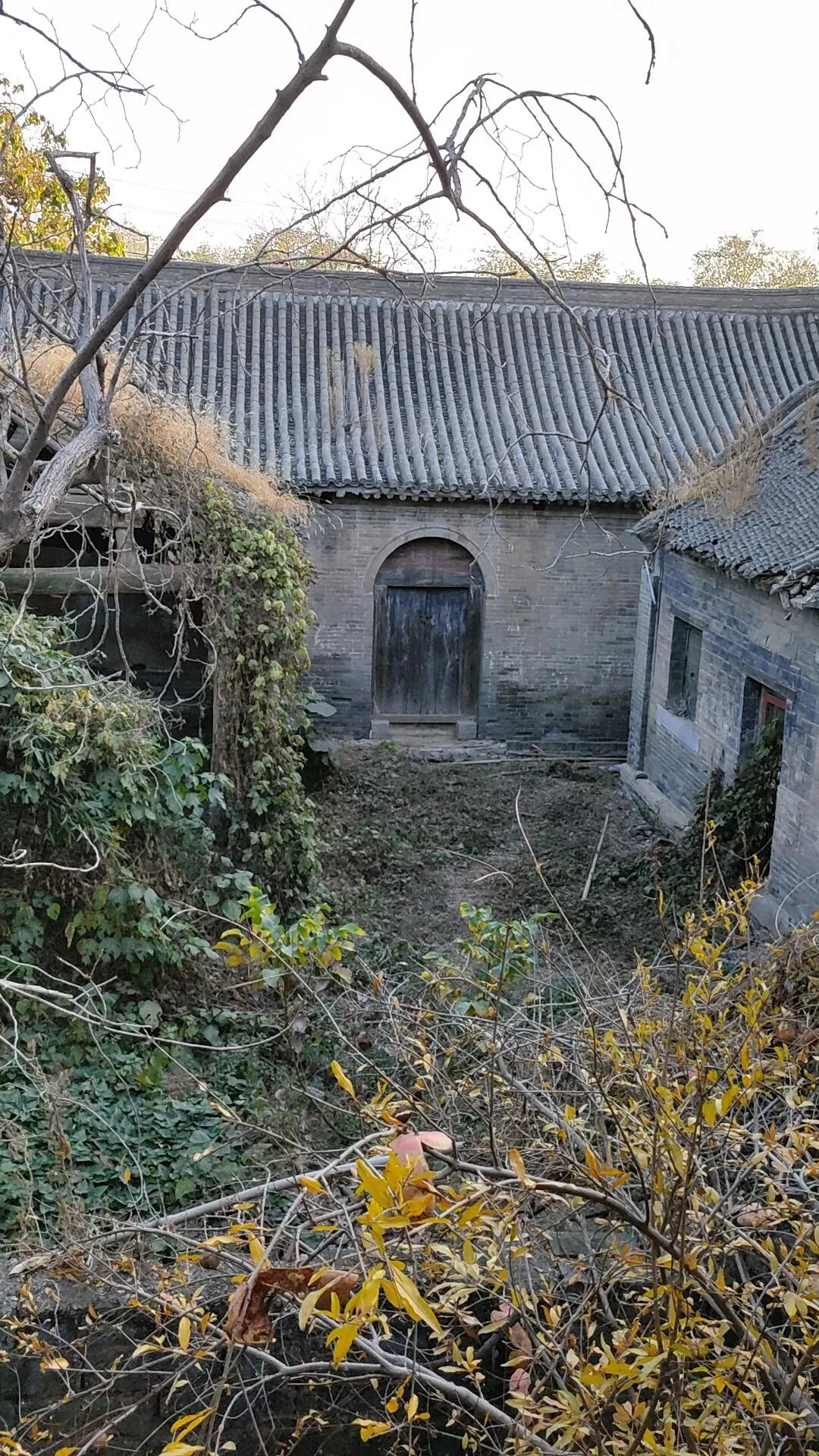 安阳县安丰乡东稻田,安丰乡东稻田