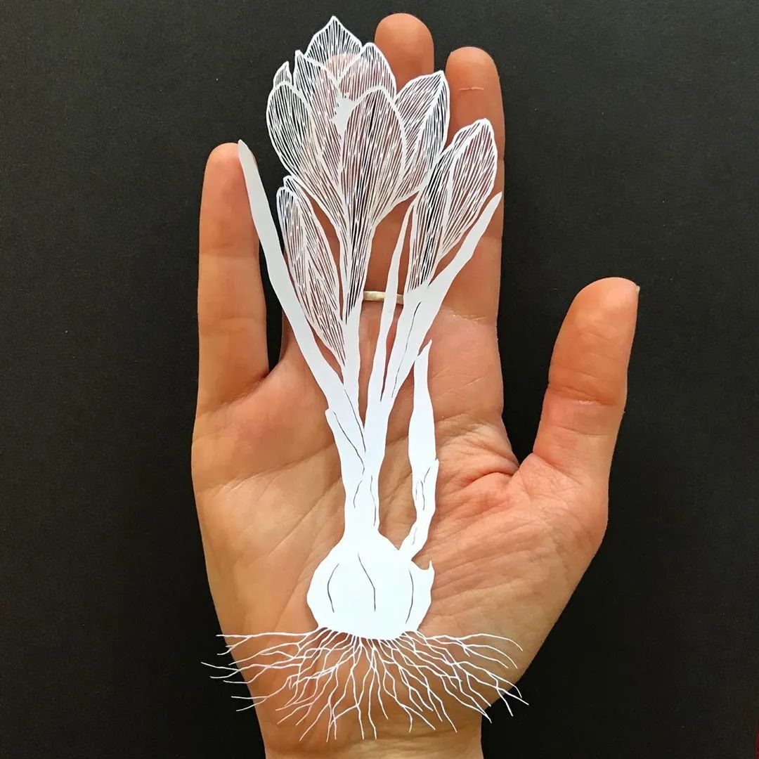 她用一把手术刀在2毛钱废报纸上雕出精美图腾,一幅卖60万