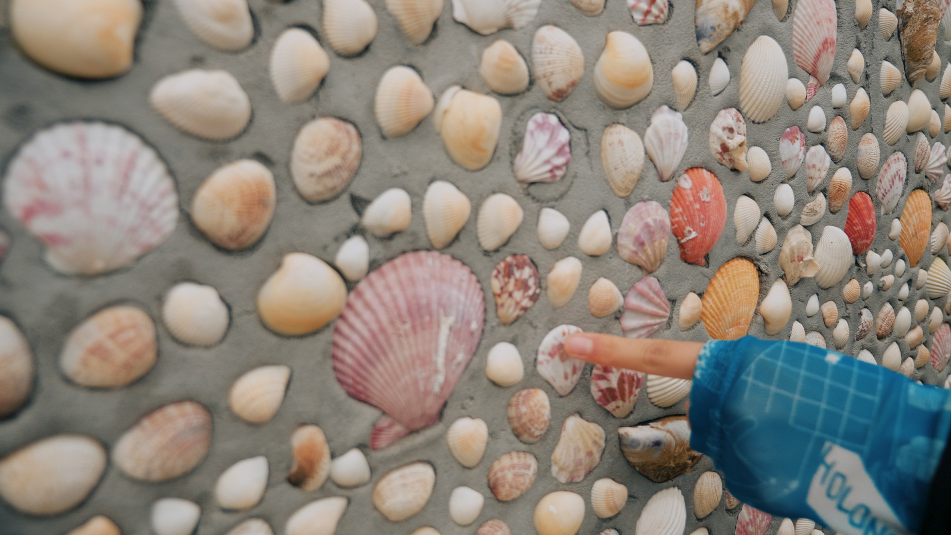 浙江嵊泗列岛三日游,嵊泗四日游旅游攻略