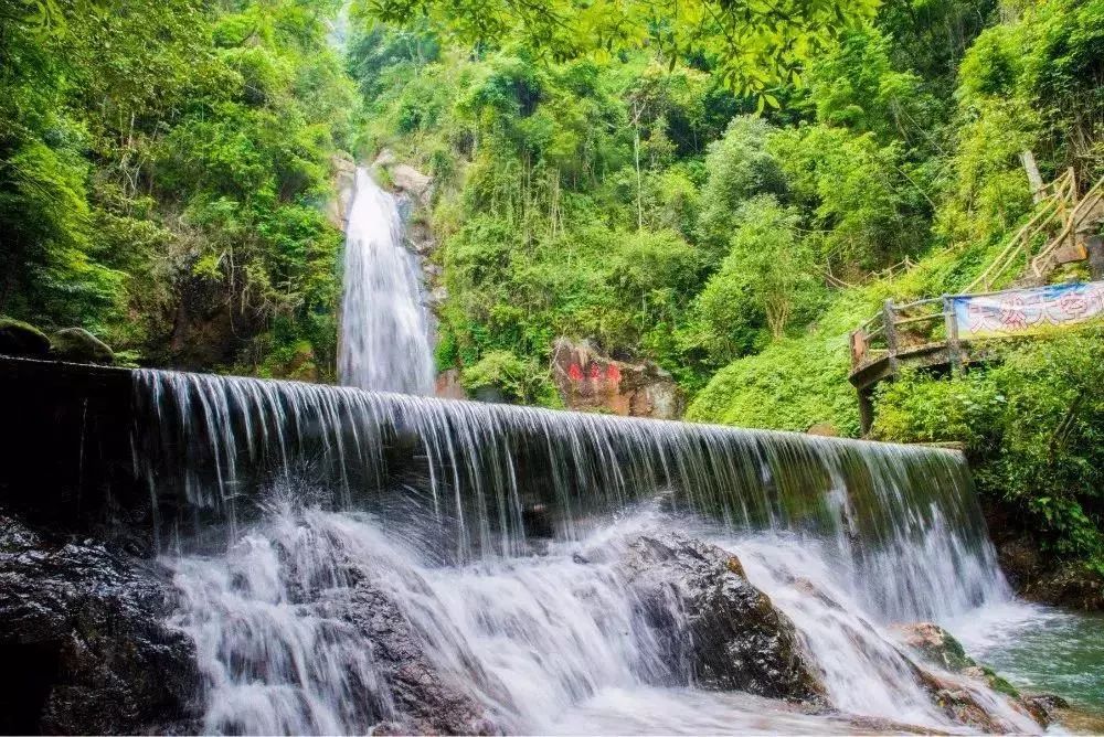 国庆与家人、朋友住韶关碧桂园*阳城太**凤凰酒店享美好假期
