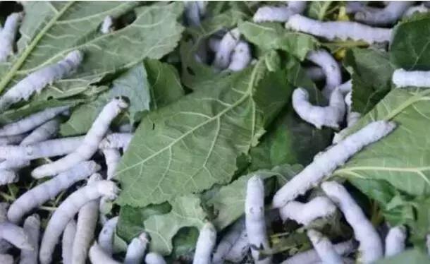 靖远职专简介,靖远职中简介