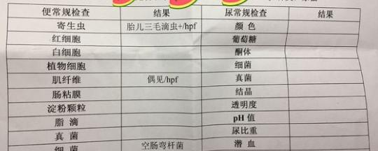 猫咪肚子有毛滴虫怎么引起的,猫咪有三胎毛滴虫