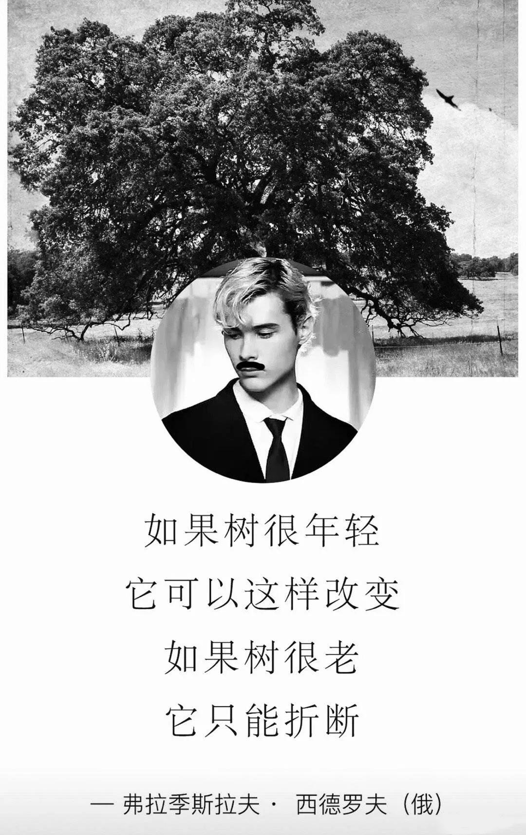 利路修怎么突然火了,利路修是被淘汰了吗