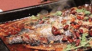 南山桂庙路附近美食店推荐,南山桂庙路附近美食