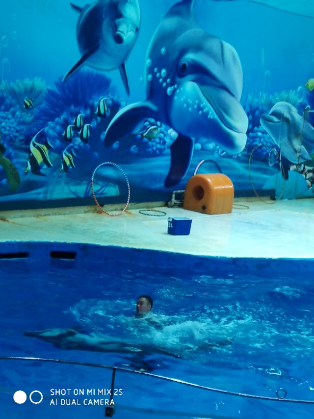 南京海底世界海狮表演,南京海底世界门票价格