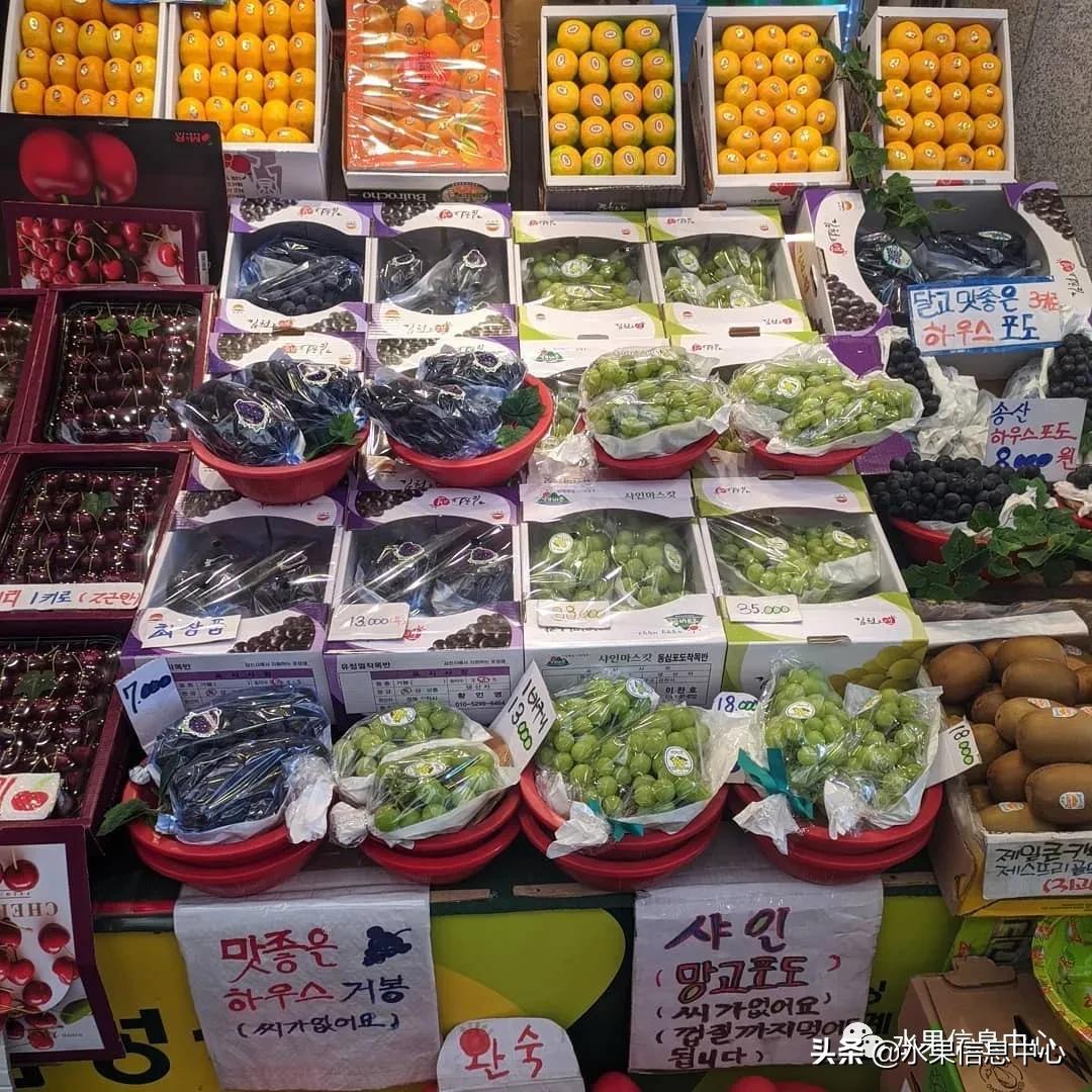 韩国的蔬菜水果批发市场,韩国最便宜的苹果水果