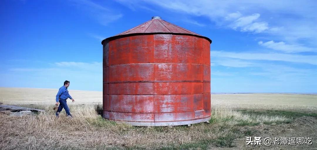 加拿大哪个城市老鼠最多,加拿大没有老鼠的地方