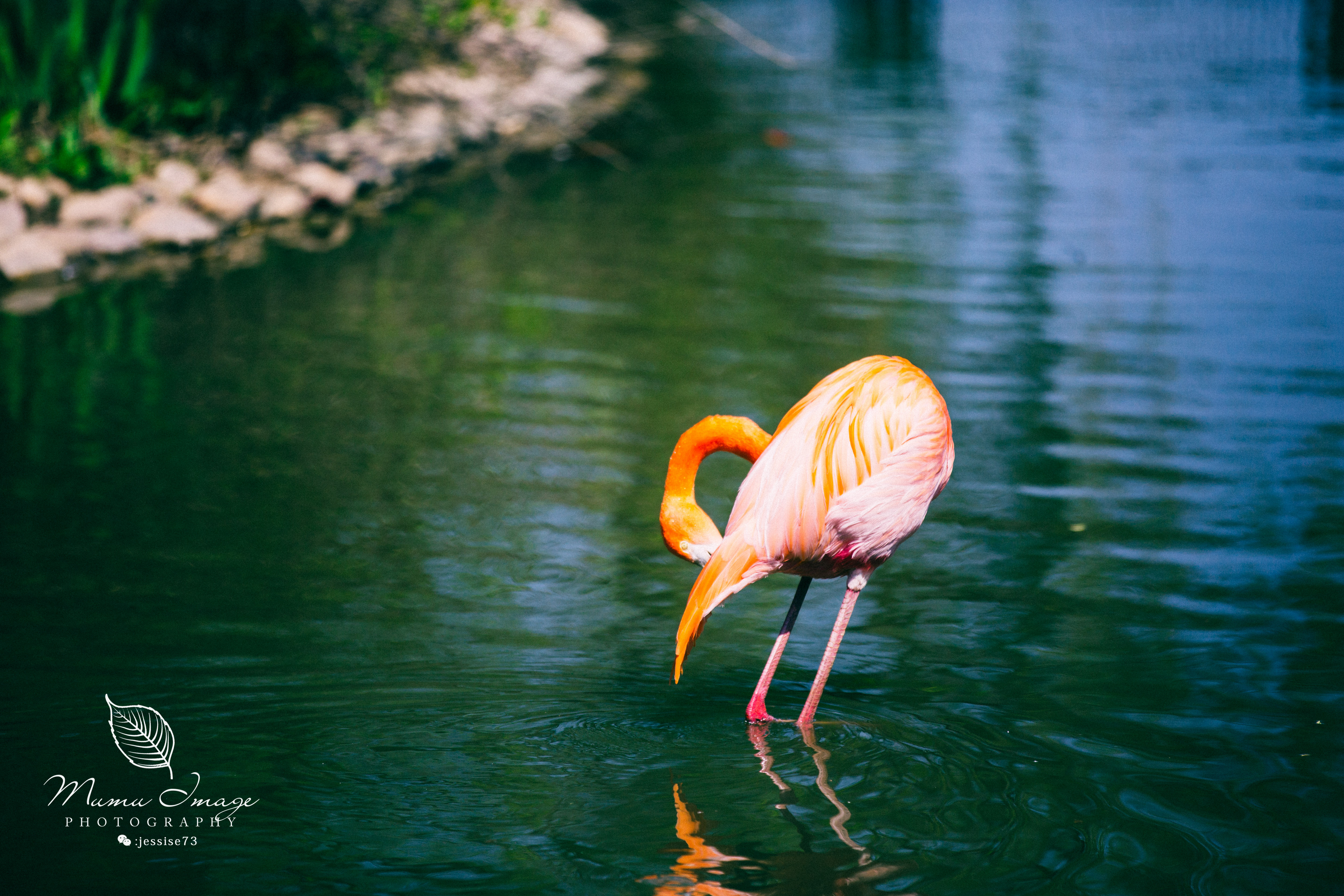扬州是个不花钱的公园,扬州本地人最喜欢去的公园