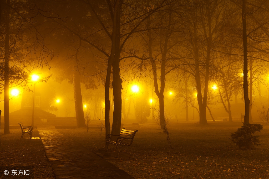 阅读最高意义在于养成精神贵族 (阅读经典的意义在于)