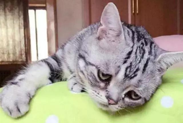 姑娘，我掏根管的时候，你舌头放尊重一点