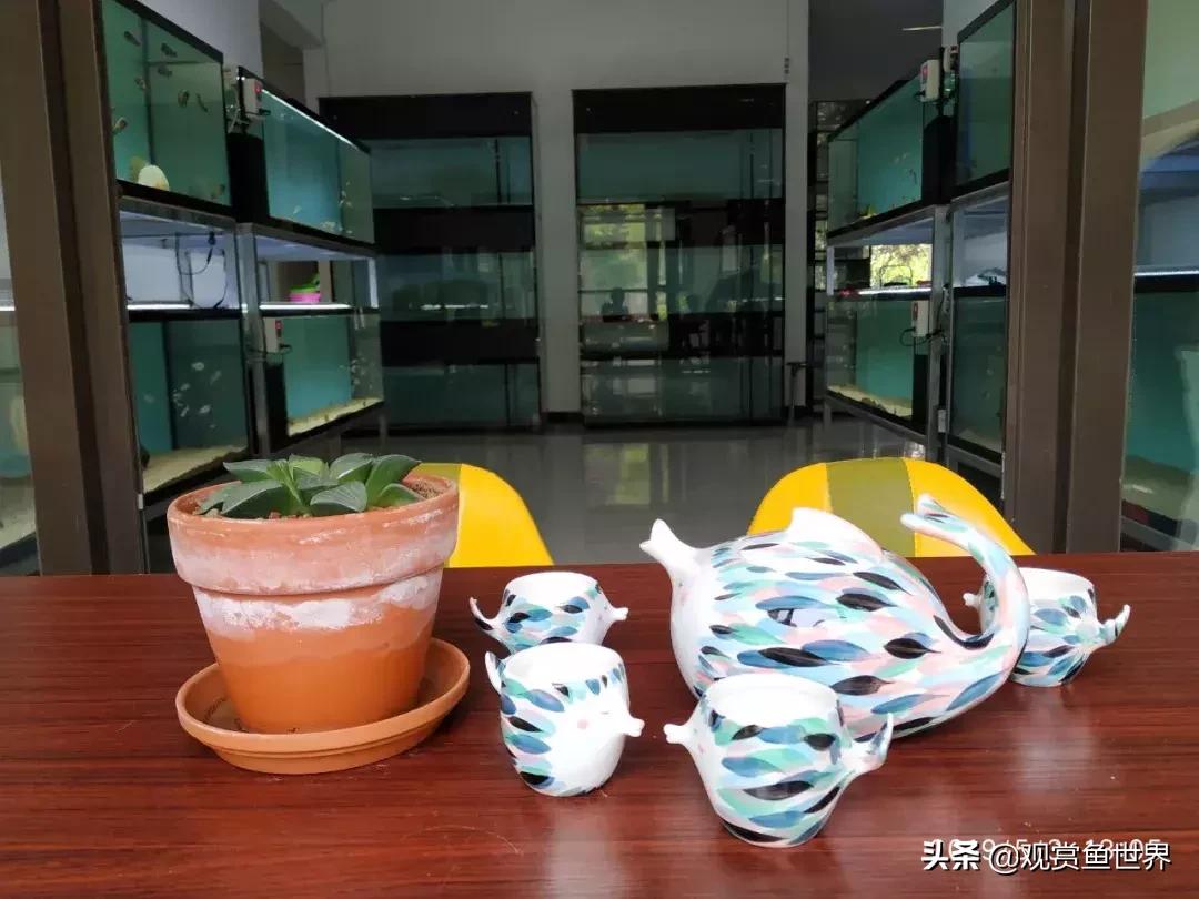 梦想的三湖世界持续建设中……方位:中国天津