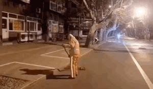 康正汽车超市昆山店:2019,愿生活更美好