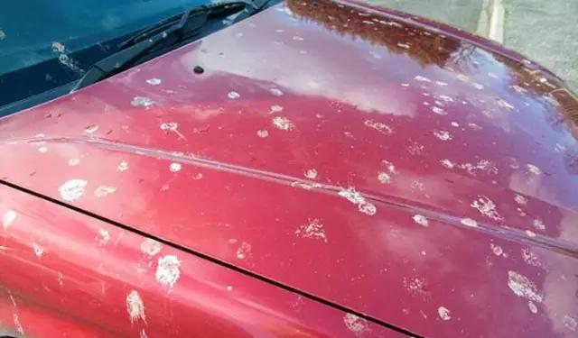 汽车塑料件划痕刮伤了怎么修复,汽车小划痕去保养店修复多少钱