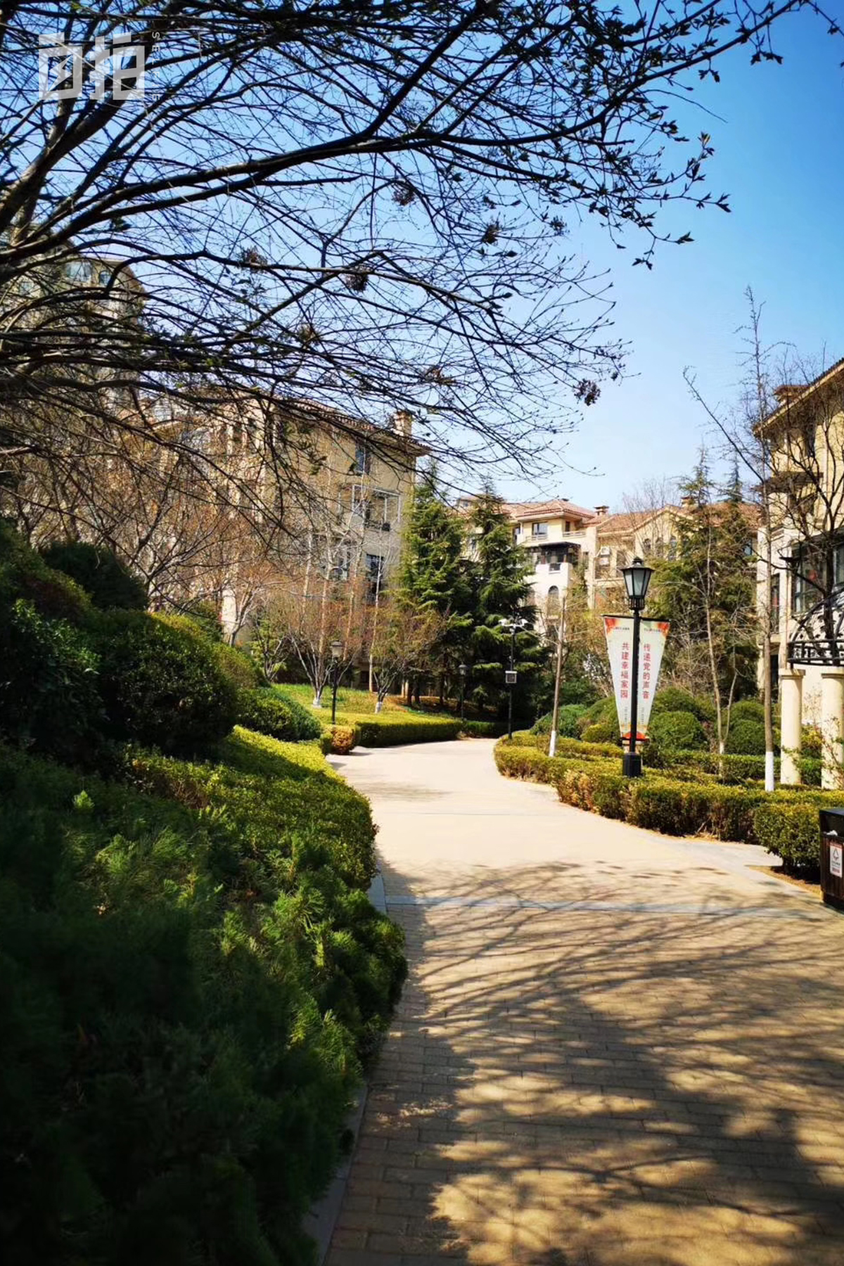 鎴戝湪涔濆崄骞翠唬鍙戝鑷村瘜,鎴戝湪90骞翠唬鍙戝鑷村瘜鍏ㄦ枃鍏嶈垂闃呰