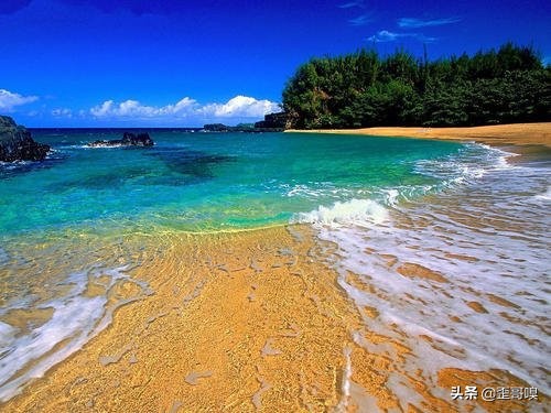 搬到夏威夷？这些是你应该知道的！