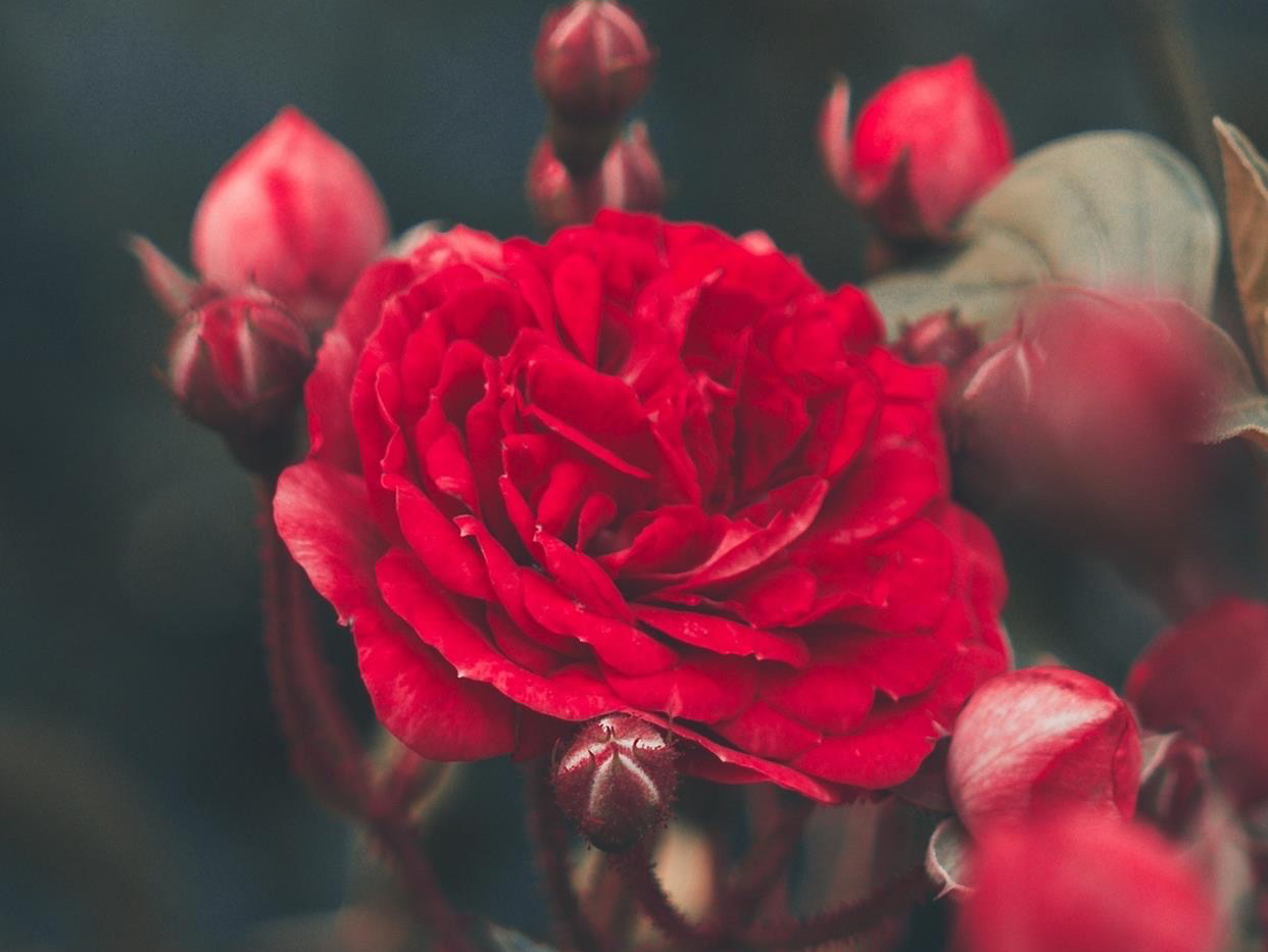 真正完美的爱情是怎样的,真正好的情人关系是怎么样相处