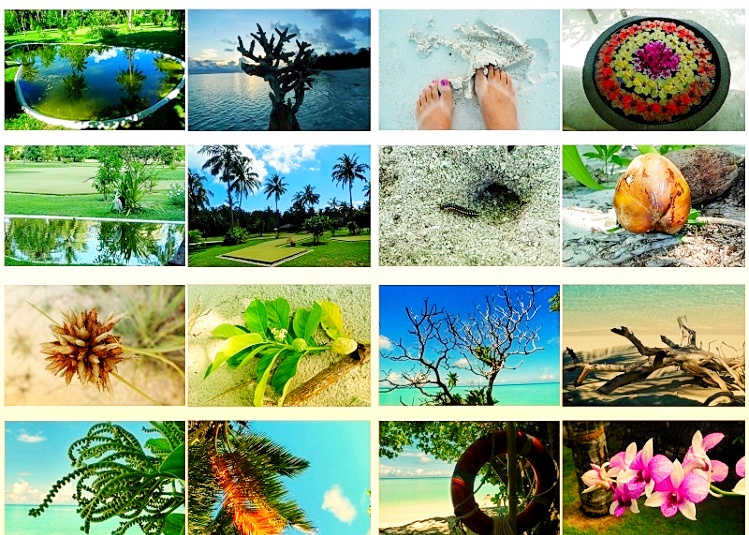 世外桃源海滩度假村马尔代夫,马尔代夫太阳岛度假村