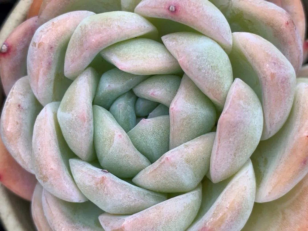 禁足的日子收获颇多,禁足