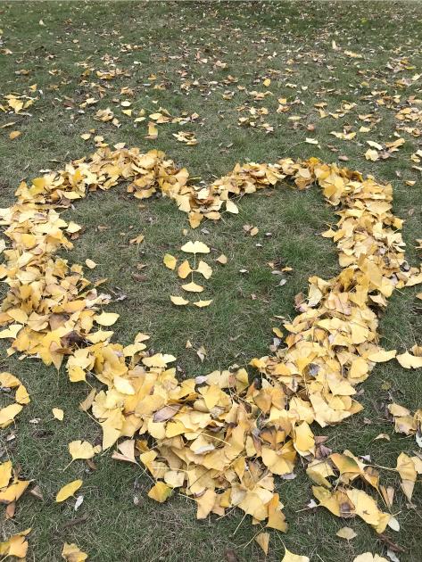 太阳你慢些走完整版,太阳你慢些走原唱完整版