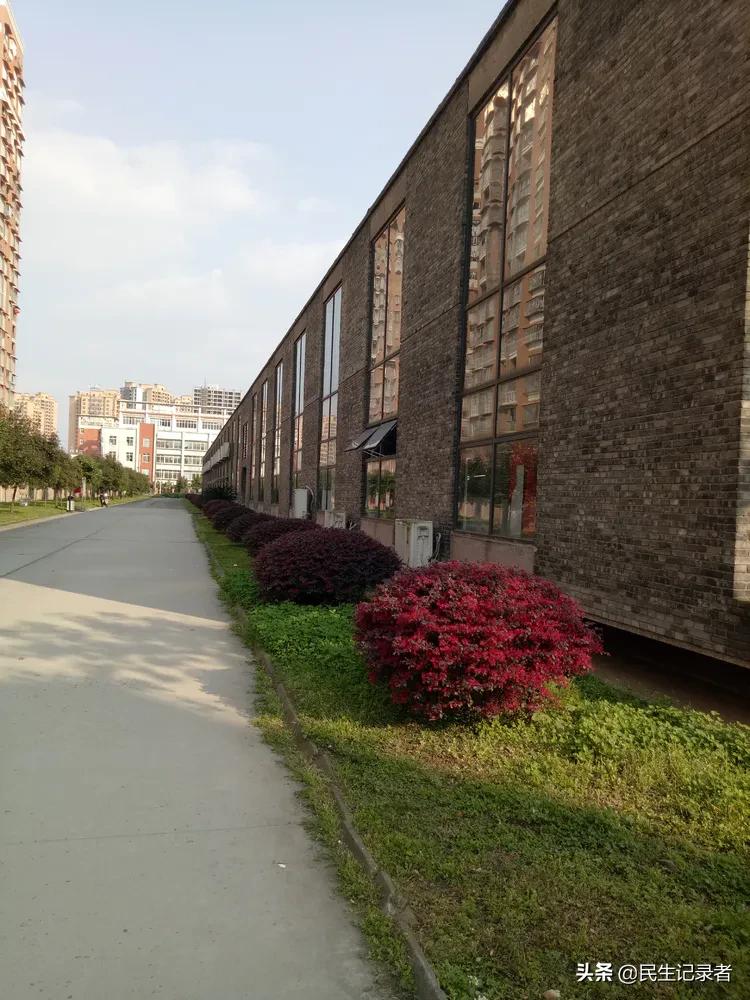 成都服饰公司招聘信息最新 (四川江南服饰有限公司招聘)