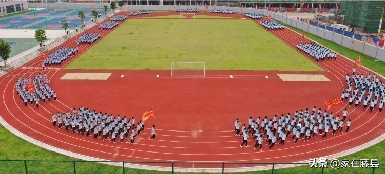 藤县八中简介,藤县八中地址